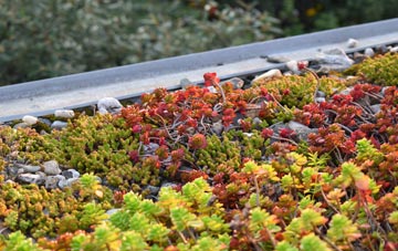 the cost of Harker Marsh green roof installation