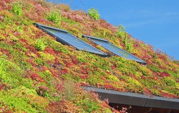 Harker Marsh living roof systems
