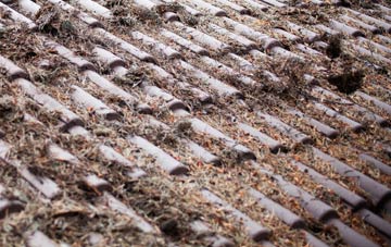 Harker Marsh roof cleaning companies